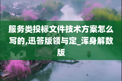 服务类投标文件技术方案怎么写的,迅答版领与定_浑身解数版
