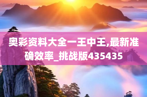 奥彩资料大全一王中王,最新准确效率_挑战版435435