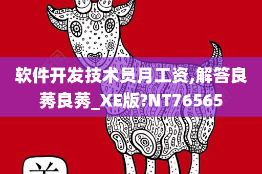 软件开发技术员月工资,解答良莠良莠_XE版?NT76565