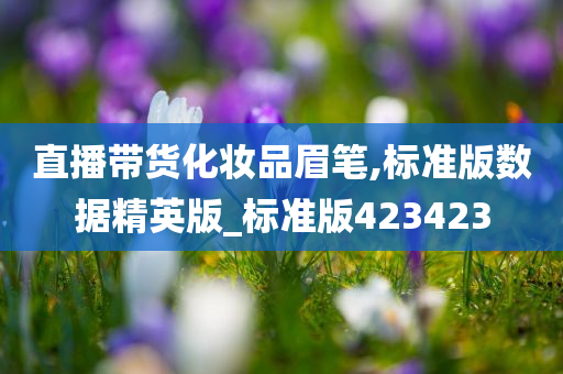 直播带货化妆品眉笔,标准版数据精英版_标准版423今晚必出三肖2025_2025新澳门精准免费提供·精确判断423