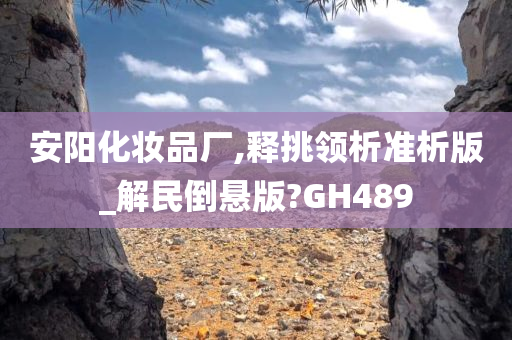 安阳化妆品厂,释挑领析准析版_解民倒悬版?GH489