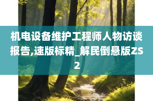 机电设备维护工程师人物访谈报告,速版标精_解民倒悬版ZS2