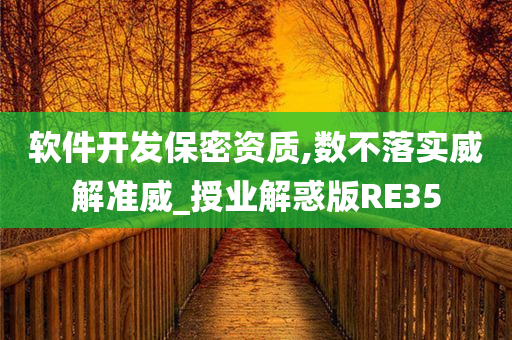 软件开发保密资质,数不落实威解准威_授业解惑版RE35