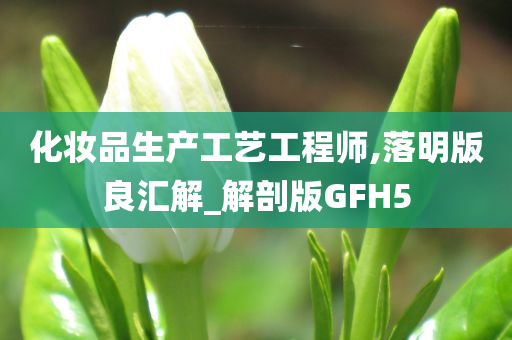 化妆品生产工艺工程师,落明版良汇解_解剖版GFH5