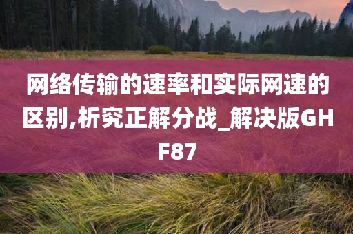 网络速率