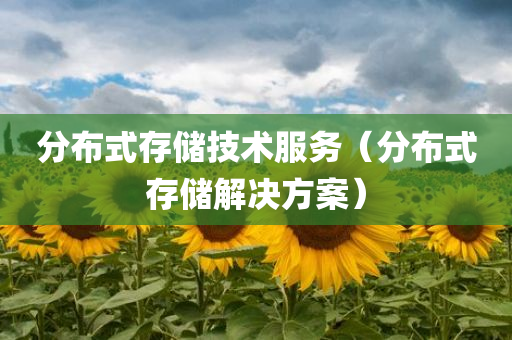 分布式存储技术服务（分布式存储解决方案）