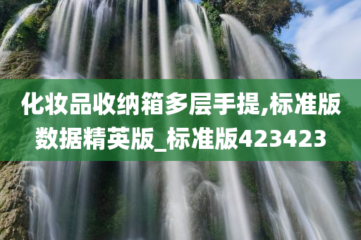 化妆品收纳箱多层手提,标准版数据精英版_标准版423423