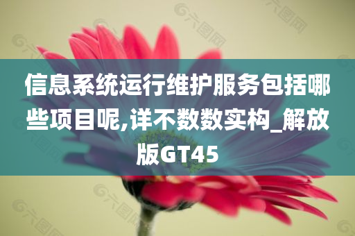 信息系统运行维护服务包括哪些项目呢,详不数数实构_解放版GT45