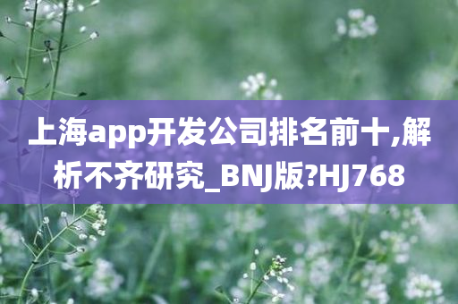 上海app开发公司排名前十,解析不齐研究_BNJ版?HJ768