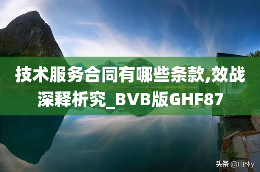 技术服务合同有哪些条款,效战深释析究_BVB版GHF87