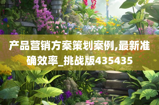 产品营销方案策划案例,最新准确效率_挑战版435435