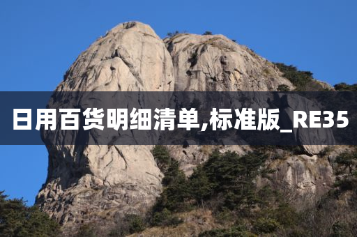 日用百货明细清单,标准版_RE35