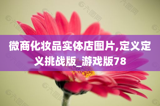 微商化妆品实体店图片,定义定义挑战版_游戏版78