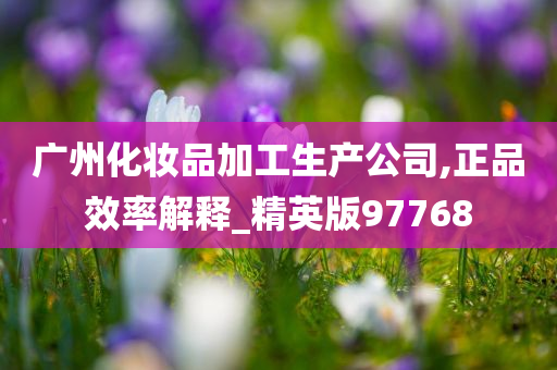 广州化妆品加工生产公司,正品效率解释_精英版97768