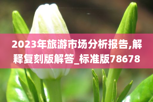 旅游市场分析