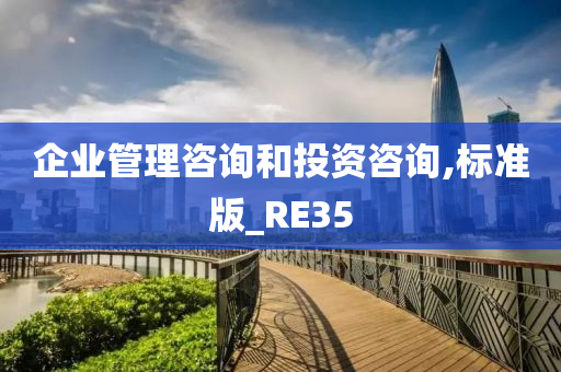 企业管理咨询和投资咨询,标准版_RE35