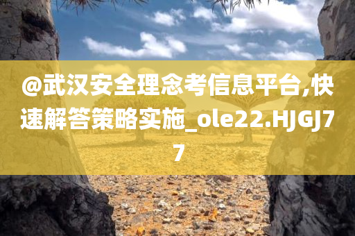 @武汉安全理念考信息平台,快速解答策略实施_ole22.HJGJ77