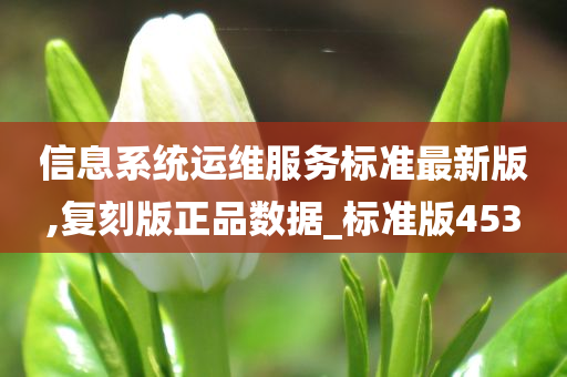 信息系统运维服务标准最新版,复刻版正品数据_标准版453