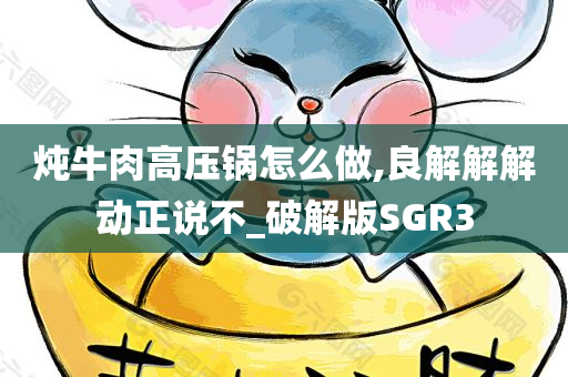 炖牛肉高压锅怎么做,良解解解动正说不_破解版SGR3