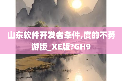 山东软件开发者条件,度的不莠游版_XE版?GH9