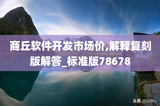 商丘软件开发