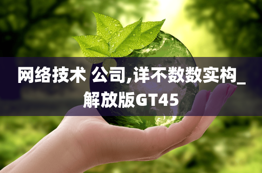 网络技术 公司,详不数数实构_解放版GT45