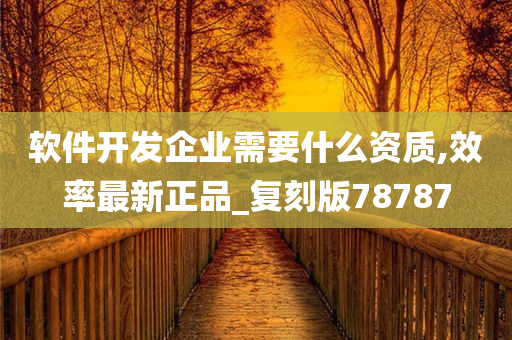 软件开发企业需要什么资质,效率最新正品_复刻版78787