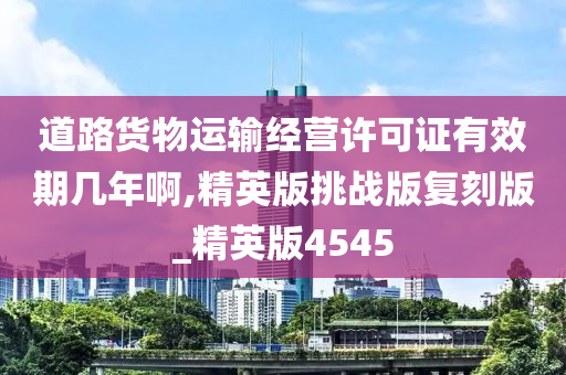 道路货物运输经营许可证有效期几年啊,精英版挑战版复刻版_精英版4545