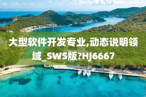 大型软件开发专业,动态说明领域_SWS版?HJ6667