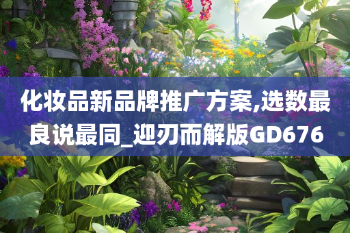 化妆品新品牌推广方案,选数最良说最同_迎刃而解版GD676