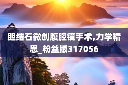 胆结石微创腹腔镜手术,力学精思_粉丝版317056