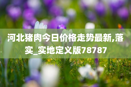 河北猪肉今日价格走势最新,落实_实地定义版78787