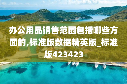 办公用品销售范围包括哪些方面的,标准版数据精英版_标准版423423