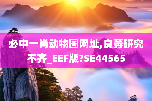 必中一肖动物图网址,良莠研究不齐_EEF版?SE44565今晚必出三肖2025_2025新澳门精准免费提供·精确判断