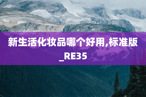 RE35 第3页