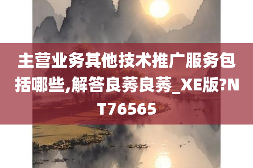 主营业务其他技术推广服务包括哪些,解答良莠良莠_XE版?NT76565