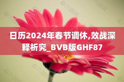 日历2024年春节调休,效战深释析究_BVB版GHF87
