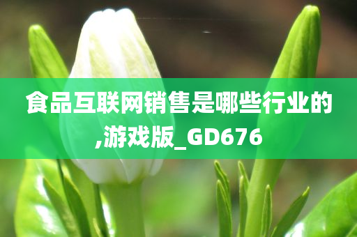 食品互联网销售是哪些行业的,游戏版_GD676
