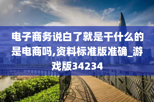 电子商务说白了就是干什么的是电商吗,资料标准版准确_游戏版34234
