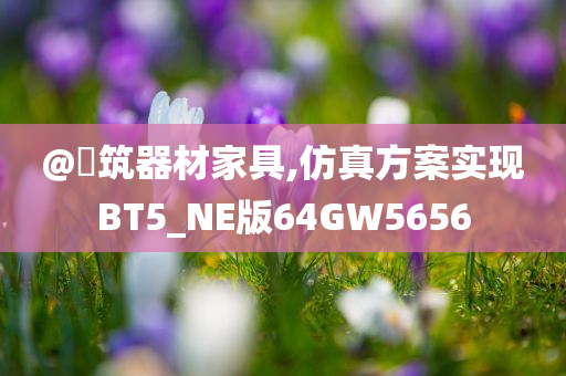 仿真方案