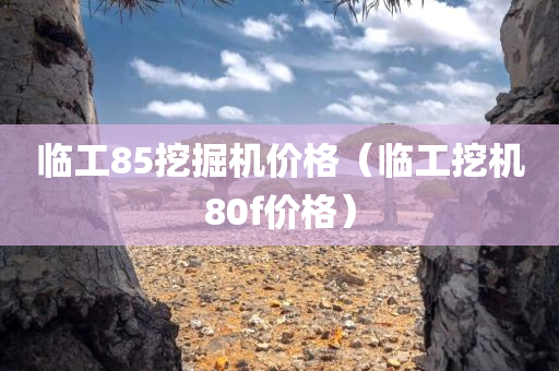 临工85挖掘机价格（临工挖机80f价格）