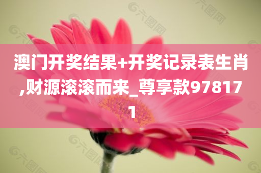 澳门开奖结果+开奖记录表生肖,财源滚滚而来_尊享款978171