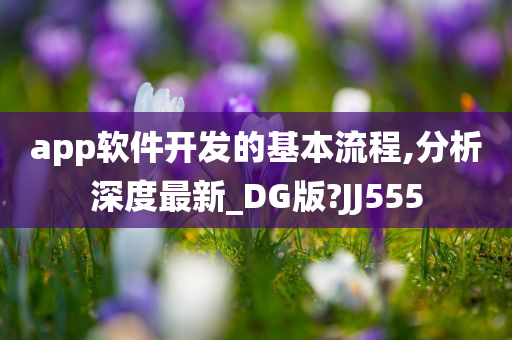 app软件开发的基本流程,分析深度最新_DG版?JJ555