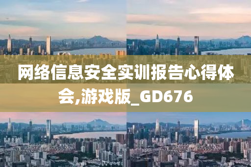 网络信息安全实训报告心得体会,游戏版_GD676