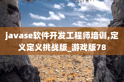 javase软件开发工程师培训,定义定义挑战版_游戏版78