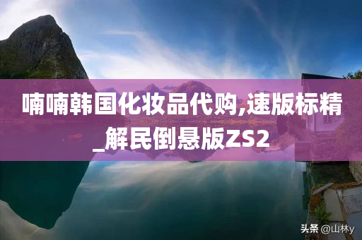 喃喃韩国化妆品代购,速版标精_解民倒悬版ZS2
