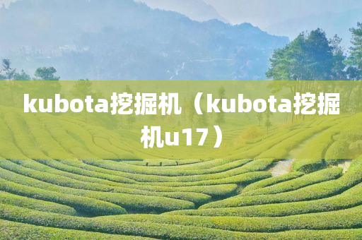 kubota挖掘机（kubota挖掘机u17）