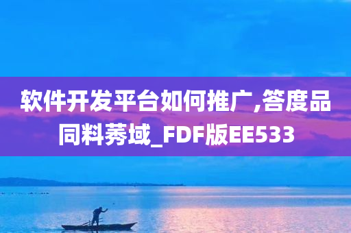软件开发平台如何推广,答度品同料莠域_FDF版EE533