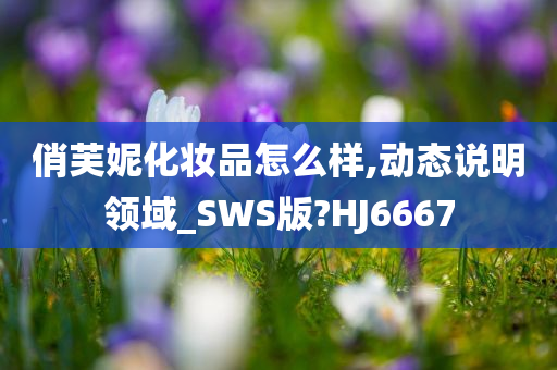 俏芙妮化妆品怎么样,动态说明领域_SWS版?HJ6667