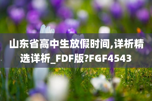 山东省高中生放假时间,详析精选详析_FDF版?FGF4543今晚必出三肖2025_2025新澳门精准免费提供·精确判断